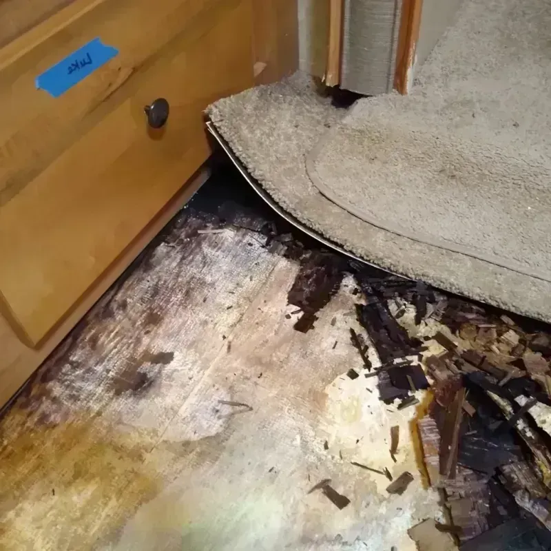 Wood Floor Water Damage in Madison, FL